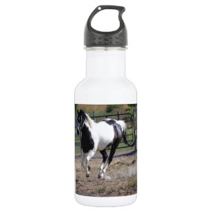 Pinto Paint Horse 532 Ml Water Bottle