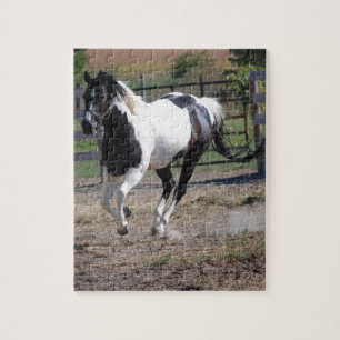 Pinto Paint Horse Jigsaw Puzzle