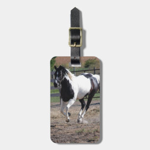 Pinto Paint Horse Luggage Tag
