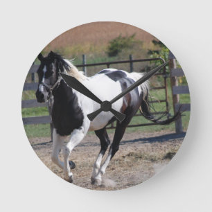 Pinto Paint Horse Round Clock