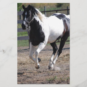 Pinto Paint Horse Stationery