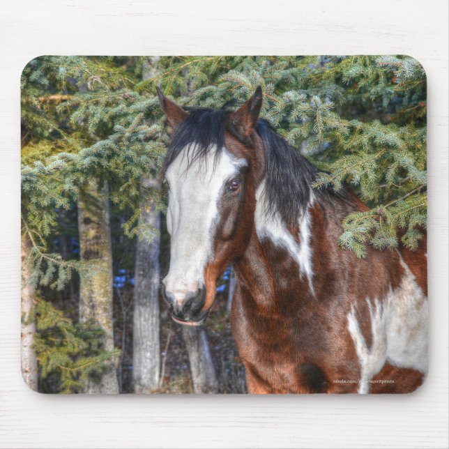 Pinto Paint Stallion & Evergreen Trees Mouse Mat (Front)