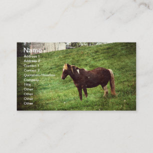 Pinto Pony Business Card