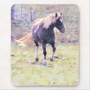 Pinto Pony Mouse Mat