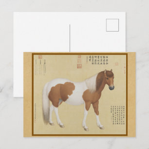 Pinto Pony Portrait - Vintage Chinese Fine Art Postcard