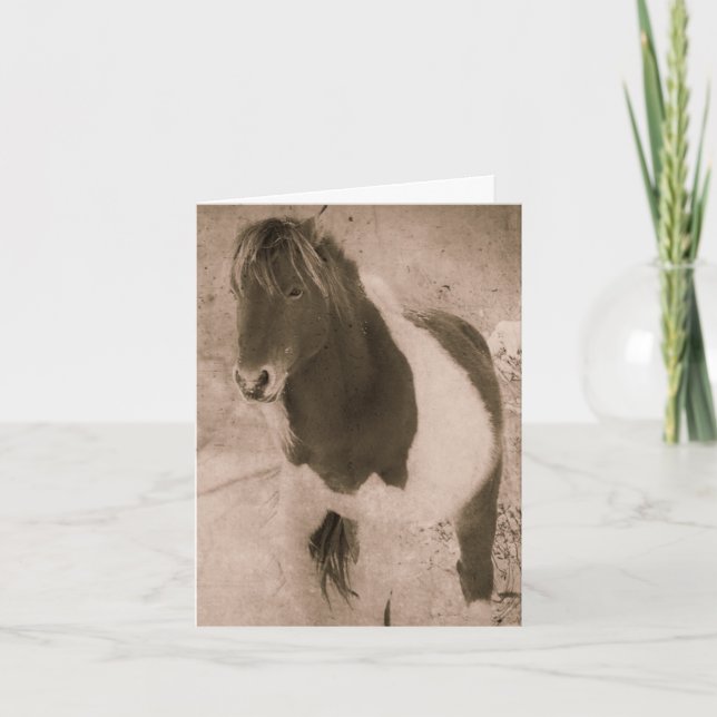 Pinto Pony Sepia Grunge, Thank you Holiday Card (Front)