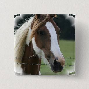Pinto Pony Square Pin