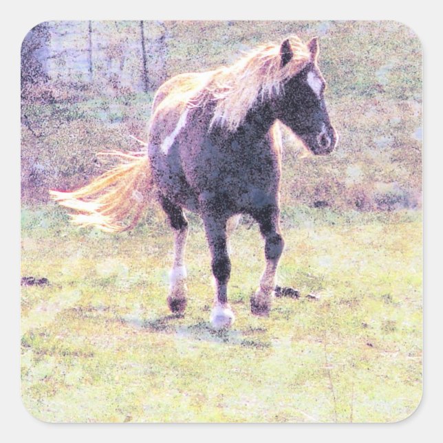 Pinto Pony Square Sticker (Front)