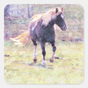 Pinto Pony Square Sticker