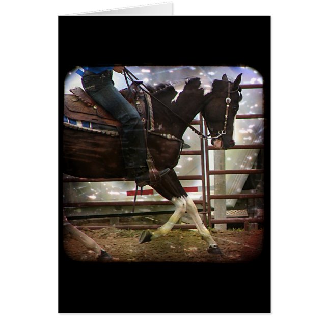 Pinto Western (Front)