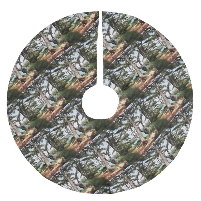 Pinus pinea Pine Tree Forest Painting  Brushed Polyester Tree Skirt (Front)