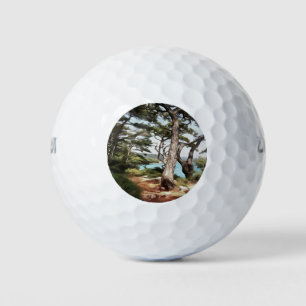 Pinus pinea Pine Tree Forest Painting  Golf Balls