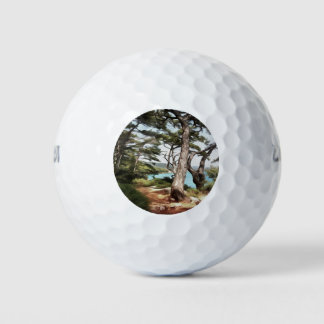 Pinus pinea Pine Tree Forest Painting  Golf Balls