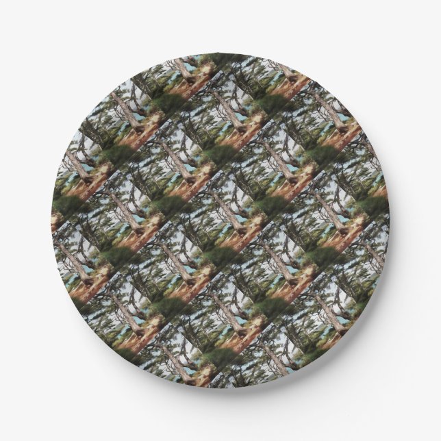 Pinus pinea Pine Tree Forest Painting  Paper Plate (Front)