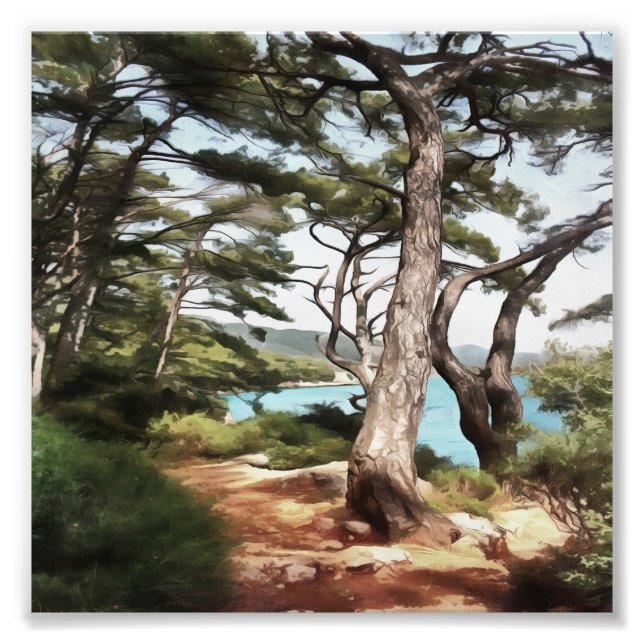 Pinus pinea Pine Tree Forest Painting  Photo Print (Front)