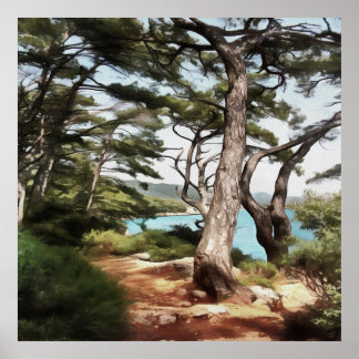Pinus pinea Pine Tree Forest Painting  Poster