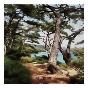 Pinus pinea Pine Tree Forest Painting Poster