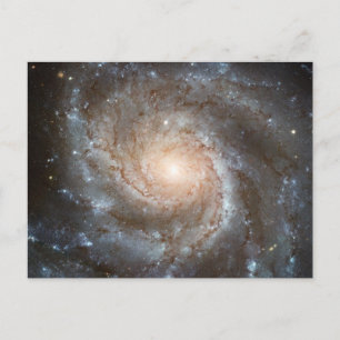 Pinwheel galaxy Hubble Telescope Outer Space Photo Postcard
