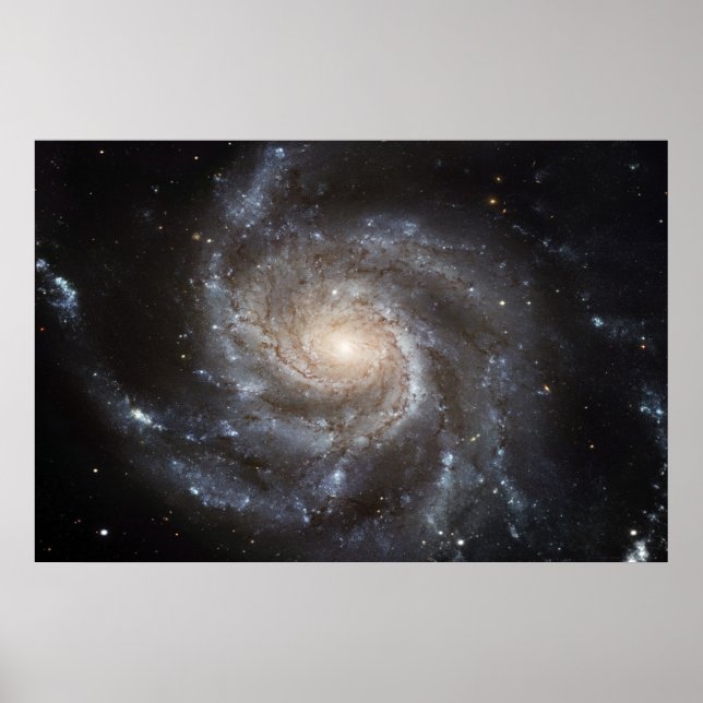 Pinwheel Galaxy M101 78x52 (57x38) Poster (Front)