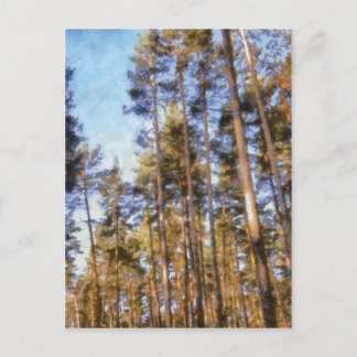 Piny forest postcard