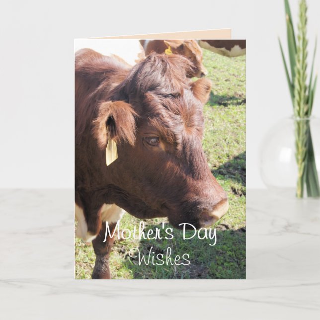 Pinzgauer 8374 Mother's Day-or make any occasion Thank You Card (Front)