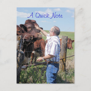 Pinzgauer Bull & Cows- customise Postcard
