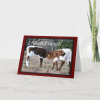 Pinzgauer Calves- AnyOccasion card-customise