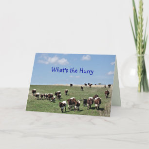 Pinzgauer Cattle Herd 8372 -customise any occasion Thank You Card