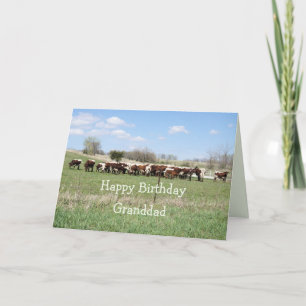 Pinzgauer cattle herd 8399- customise any occasion thank you card