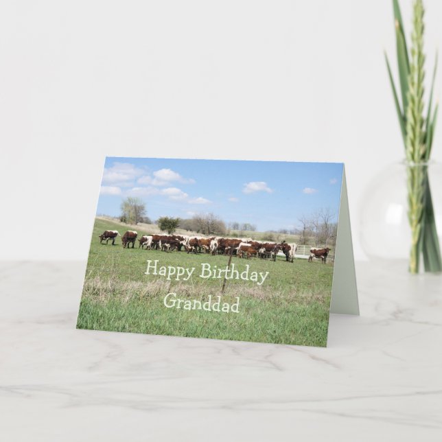 Pinzgauer cattle herd 8399- customise any occasion thank you card (Front)