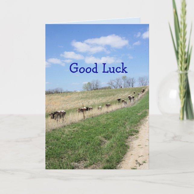 Pinzgauers 8360 Good Luck- change for any occasion Thank You Card (Front)