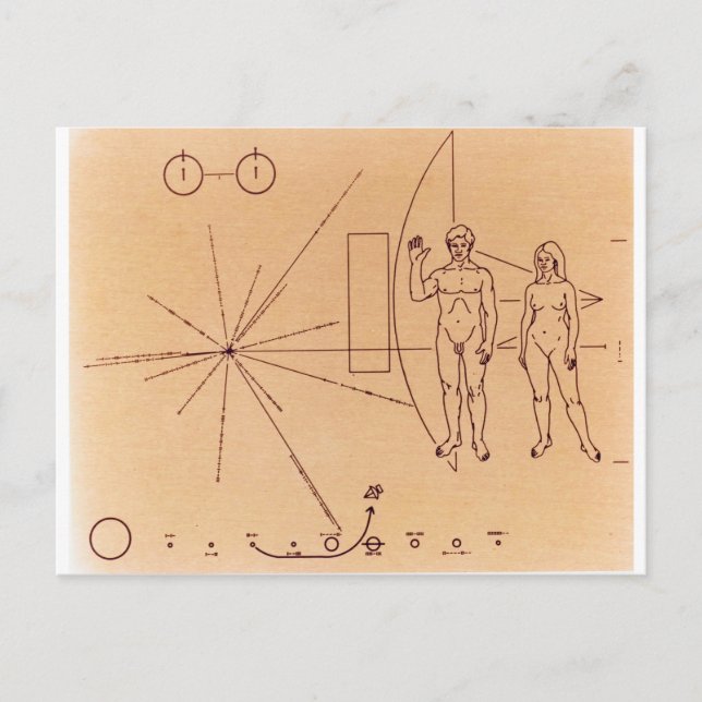 Pioneer 10's Plaque Engraved Gold-Anodised Plate Postcard (Front)