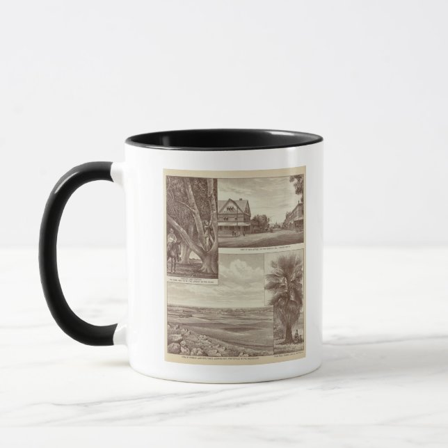Pioneer Land Co tract, Porterville Mug (Left)