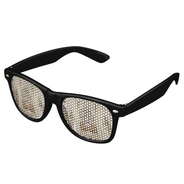 Pipe Organ Maria Am Gestade Retro Sunglasses (Angled)