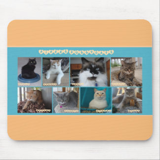 PipersPuddycats Mouse Pad