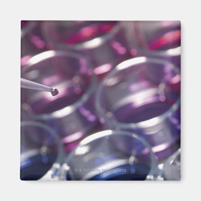 Pipette and petri dishes with fluids magnet (Front)