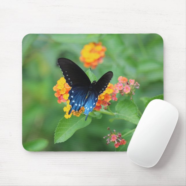 Pipevine/Blue Swallowtail Butterfly on a Flower Mouse Mat (With Mouse)