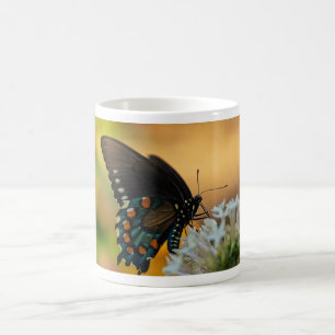 Pipevine Swallowtail Butterfly Coffee Mug