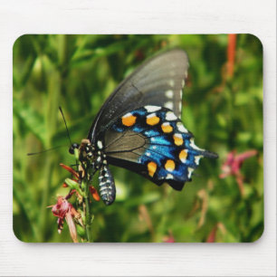Pipevine Swallowtail Mouse Mat