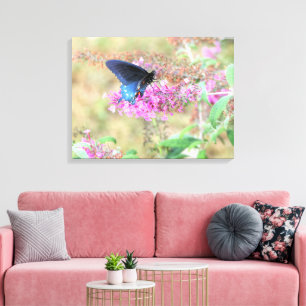 Pipevine Swallowtail on Butterfly Bush Canvas Print