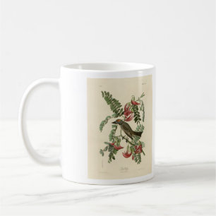 Piping Flycatcher from Audubon's Birds of America Coffee Mug