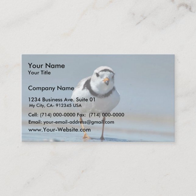 Piping Plover Business Card (Front)