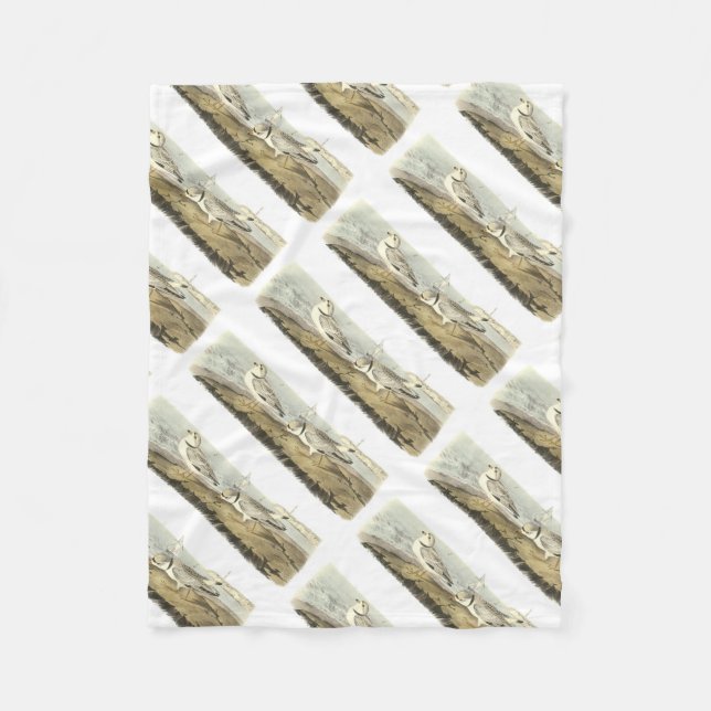 Piping Plover by Audubon Fleece Blanket (Front)