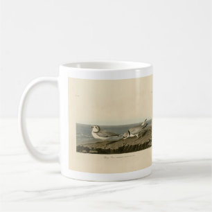 Piping Plover from Audubon's Birds of America Coffee Mug