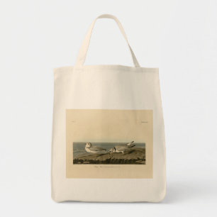 Piping Plover from Audubon's Birds of America Tote Bag