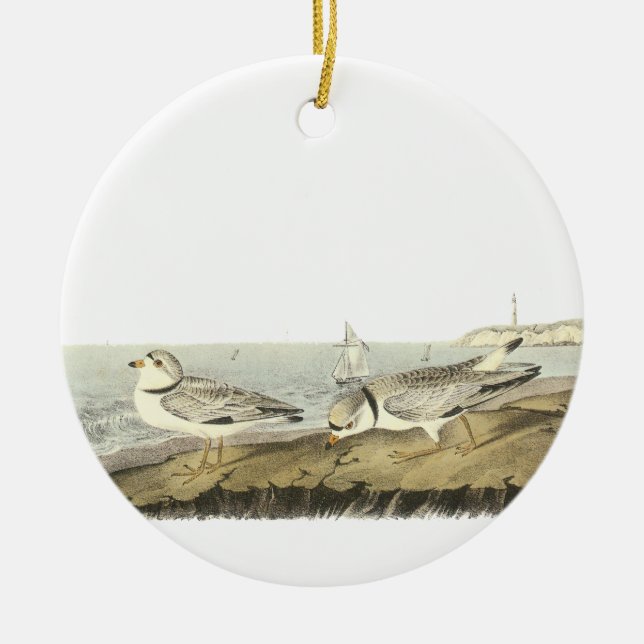 Piping Plover, John Audubon Ceramic Tree Decoration (Front)