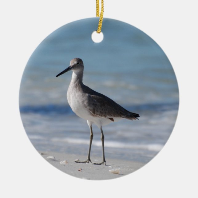 Piping Plover Ornament (Front)