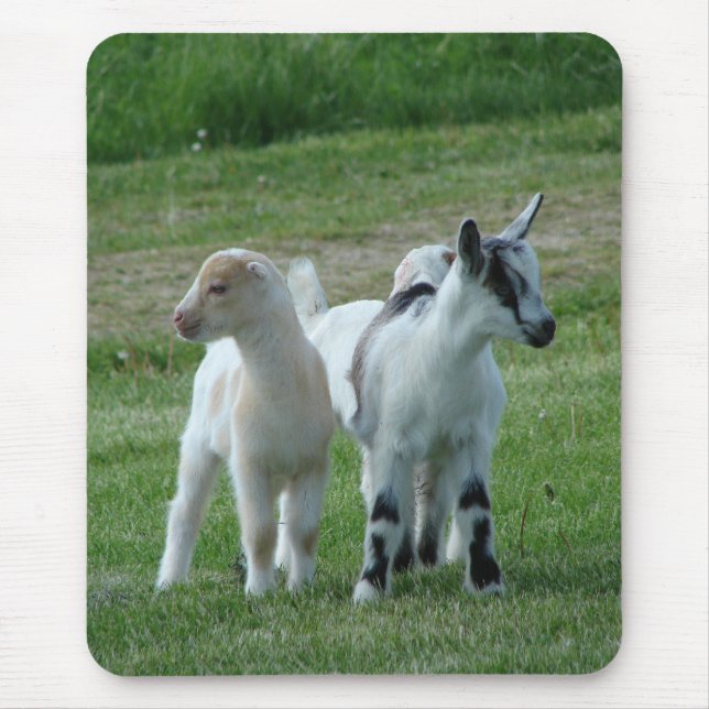 Pippi and Grey Mouse Mat (Front)