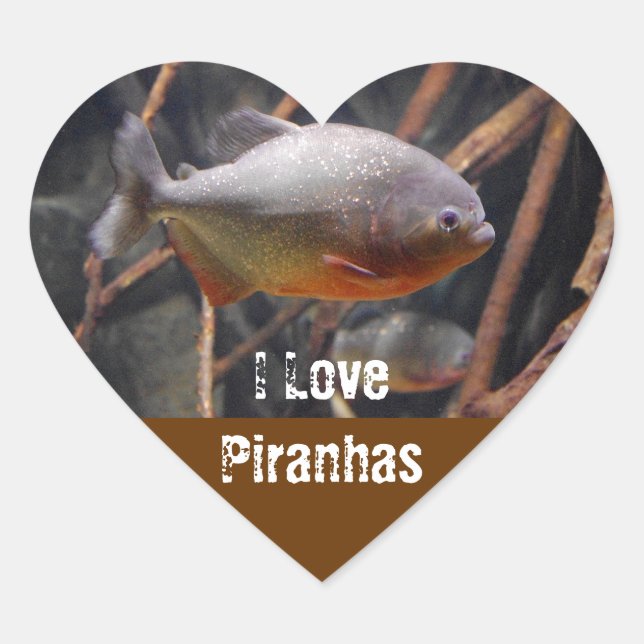 Piranha - Innocent Looking Brown Fish Heart Sticker (Front)