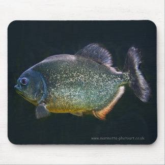 Piranha Mousemat